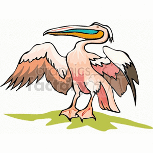 A colorful clipart image of a pelican standing on a grassy patch with wings spread open.