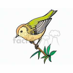 A colorful clipart image of a bird perched on a branch.