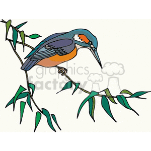 Colorful Kingfisher Bird on Leafy Branch