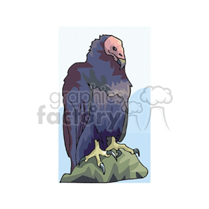Clipart image of a vulture perched on a rock.