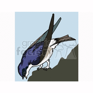 Clipart image of a bird with blue and white plumage perched on the edge of a rocky surface against a blue sky background.
