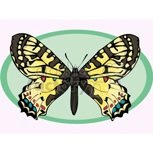 The clipart image depicts a colorful butterfly with its wings spread open. The butterfly has patterns of yellow, black, and red with spots of blue and white. It's positioned against a pale green oval background, which highlights the insect.