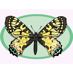 Yellow and black winged butterfly in a green circle