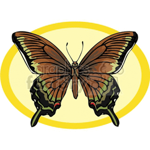 The clipart image shows a stylized illustration of a butterfly with its wings spread open. The butterfly has brown and green colored wings with what appears to be a red spot on each of the bottom wings.