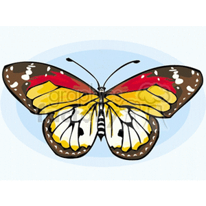 This is a clipart image of a single, stylized butterfly with predominantly yellow and red wings with black and white accents, set against a light blue background.