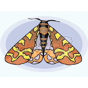 The image shows a stylized illustration of a butterfly. The butterfly has patterned wings with a combination of yellow, orange, and black colors, and is shown with its wings spread open. 