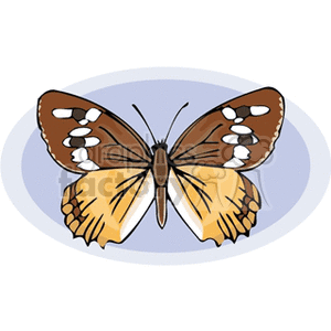 The image features a clipart of a butterfly with its wings spread open. The butterfly has brown and yellow wings with white spots.