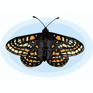 The clipart image displays a single butterfly with its wings spread wide. The butterfly has black wings with a pattern of orange and white spots and some linework that adds detail to the illustration. It's depicted against a light blue background, emphasizing the insect's colors and making it stand out.