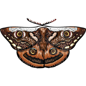 The clipart image features a detailed illustration of a butterfly. The butterfly has wings with eye-like patterns, which are common in many butterfly species to help deter predators.
