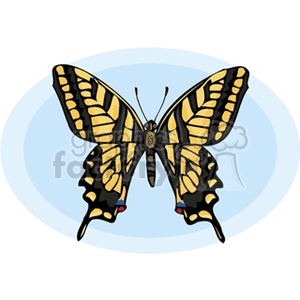 The image depicts a clipart of a single butterfly with yellow and black patterned wings, highlighted with red and blue accents on a blue and white circular background. The butterfly's wings are spread open, showcasing its full pattern.