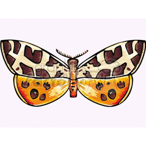 The clipart image depicts a stylized, colorful butterfly with wings outstretched. Its wing pattern features a mix of white, brown, and yellow-orange colors with black accents, giving it a unique and decorative appearance.