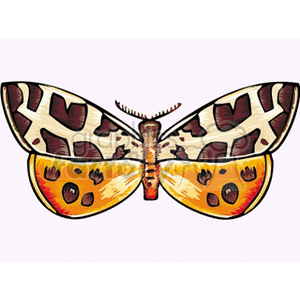 Orange white and borwn winged butterfly on light pink background