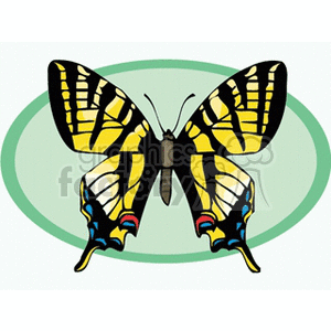 Butterfly with yellow and black wings on green background