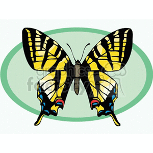 The image displays a stylized clipart of a colorful butterfly with its wings spread wide open. The wings exhibit a pattern with predominately yellow and black colors, along with accents of blue and red near the lower edges. The butterfly is depicted against a simple background with circular shapes in two different shades of green.