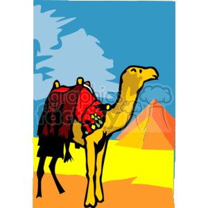 dessert camel with a red saddle and a pyramid in the background