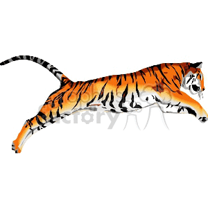 This clipart image depicts a tiger in mid-stride or possibly prowling. The tiger is stylized with orange and black stripes characteristic of its species.