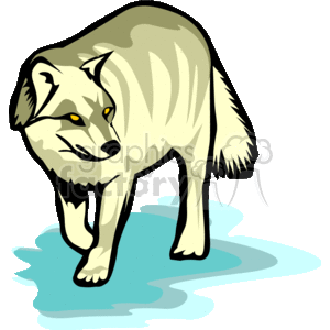 The clipart image shows a stylized illustration of a wolf, with a cream and gray coat. The animal's eyes are rendered in yellow, giving it a distinct look. The style is graphic and simplistic, typical of clipart imagery.