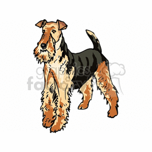 Illustration of a Wire-Coated Dog Standing Attentively