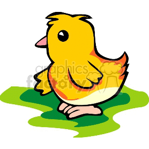 The clipart image depicts a stylized cartoon of a yellow chick with orange accents on its wings and tail, standing on what appears to be a patch of green grass.