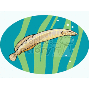The image depicts a stylized illustration of a fish that resembles an eel swimming amongst seaweed or aquatic plants. It has a pattern of dots along its body and is shown in a side profile against an oval-shaped background with a blue water-like appearance and bubbles.