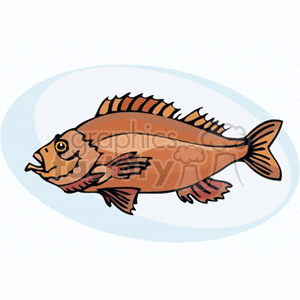 brownfish