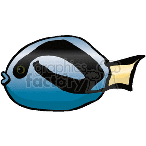 Tropical Fish - Exotic Blue Surgeonfish