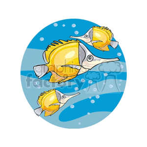 The image is a clipart that features three yellow and white fish with long snouts and flowing fins, depicted swimming underwater with bubbles around them. The ocean background is blue and gives the impression of light reflecting through water.