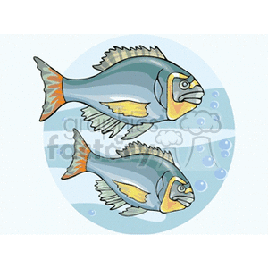 This clipart image features two stylized cartoon fish swimming underwater. The fish are colored in shades of blue and yellow with orange fins and tails, and there are bubbles in the background suggesting they are underwater.