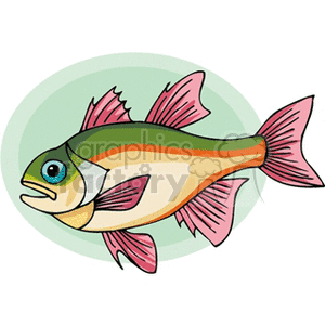 Colorful Cartoon Fish