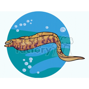 Cartoon Eel Swimming Underwater