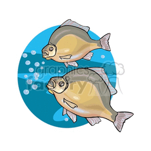 The clipart image shows two stylized fish with a cartoonish appearance, swimming underwater. They are golden in color with noticeable fins and tails, and there are bubbles floating around them. The background suggests a watery, blue environment that is typical for an underwater scene.