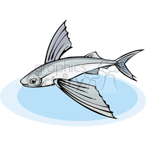 Exotic Flying Fish Illustration - Tropical Marine Life
