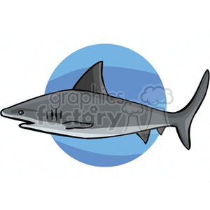 The image shows a stylized cartoon representation of a shark. The shark is grey with characteristic fins, including a prominent dorsal fin, pectoral fins, and a tail fin (caudal fin). It features gills, eyes, and a pointed snout that are typical of sharks. The shark is set against a simple light blue circle that suggests an aquatic environment.