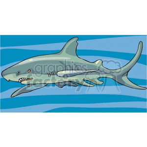 The image is a cartoon-style clipart of a shark. The shark is gray with lighter underbelly shading and has characteristic features such as gills, dorsal fin, pectoral fins, and a pointed snout with visible teeth. It's depicted swimming against a backdrop of blue water with wavy lines, indicating movement or the ocean environment.