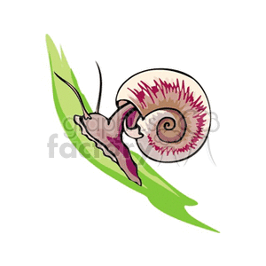 The clipart image depicts a colorful snail with a patterned shell, resting on a green leaf.