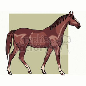 Image of a Brown Horse