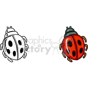 Clipart image of a ladybug with one colored and one black-and-white version.