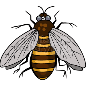 Clipart image of a detailed cartoon bee with a striped yellow and black body, large wings, and antennae.