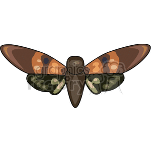 A colorful clipart image of a moth with brown and green wings.