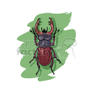 Clipart image of a stag beetle with large mandibles on a green splash background.