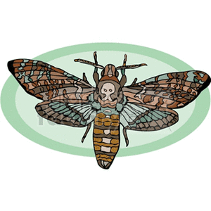 This clipart image depicts a detailed and colorful illustration of a moth with extended wings, surrounded by a light green oval background.