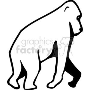 Clipart image of a walking gorilla outlined in black.