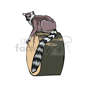 A clipart image of a lemur sitting on a tree stump, with a long striped tail draped over the side.