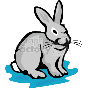 Outlined grey rabbit