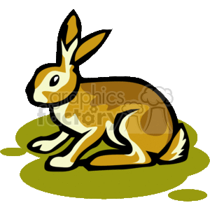Brown rabbit on grass