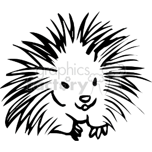 Black and White of a Smiling Porcupine