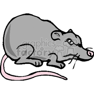 This clipart image depicts a simple cartoon of a rodent, likely intended to be a mouse or a rat. It features characteristics such as a rounded body, large ears, a long tail, and a prominent snout.