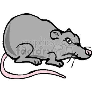 Fat cartoon rat