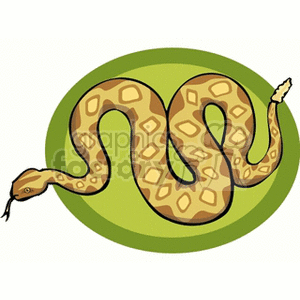 snake16