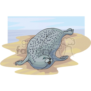 Seal Resting on Beach - Marine Animal
